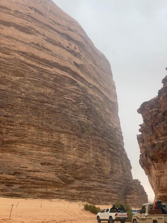 Desert Beauty - Wadi Rum Exterior photo
