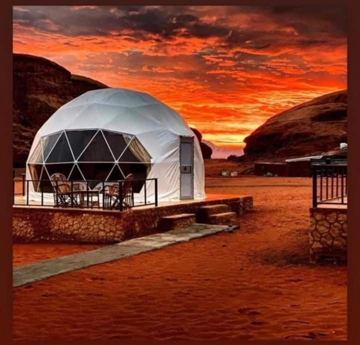 Desert Beauty - Wadi Rum Exterior photo