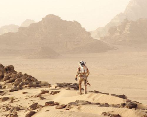 Desert Beauty - Wadi Rum Exterior photo